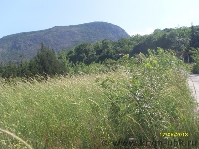 Elling-Partenit_28