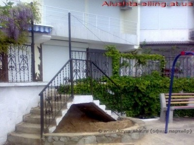 delfin_10