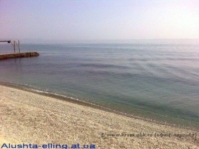 delfin_15