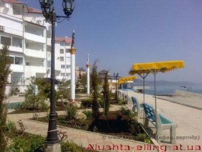 delfin_16