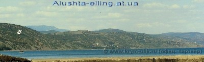 delfin_18