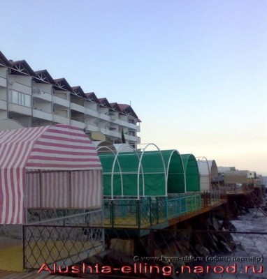 delfin_19