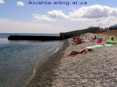 delfin_3