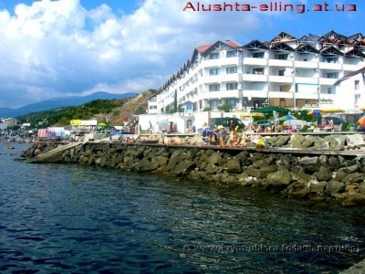 delfin_5