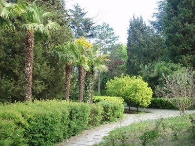 Парк_2