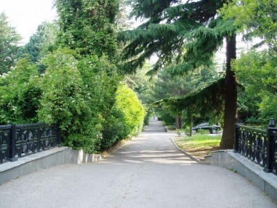 Park_13