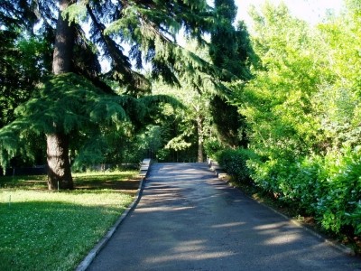 Park_25