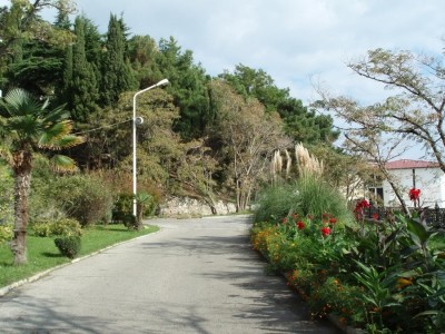 Park_2