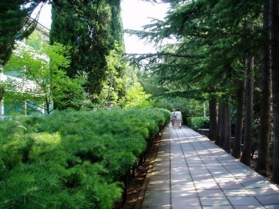 Park_4