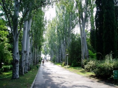 Park_6