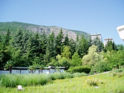 Park_8