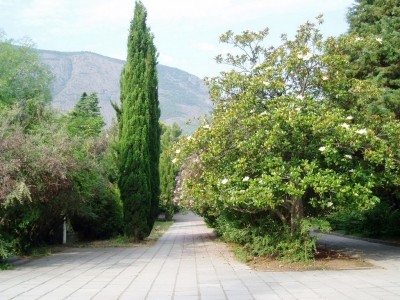 Park_9