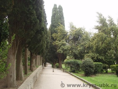 Miskhor_19