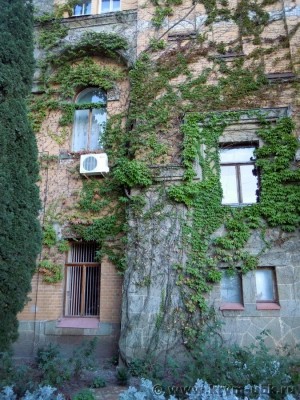 61. Замок Гагариных