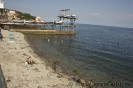 Ellingi_Krab_1