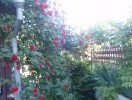 Dacha_Uchkuevka_15