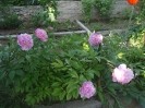 Dacha_Uchkuevka_16