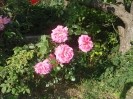 Dacha_Uchkuevka_18