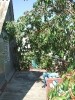 Dacha_Uchkuevka_22