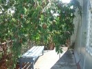 Dacha_Uchkuevka_23
