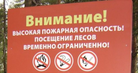 Запрет на посещение крымских лесов продлён ещё на 21 день